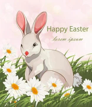 Happy Easter cute bunny rabbit card Vector. Chamomile fields backgrounds 库存插图