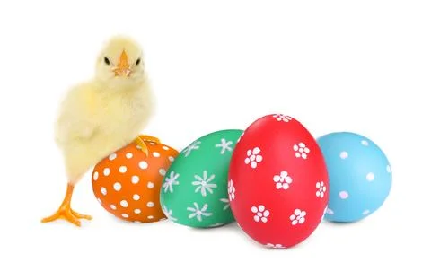 Happy Easter. Cute chick and painted eggs isolated on white Foto stock