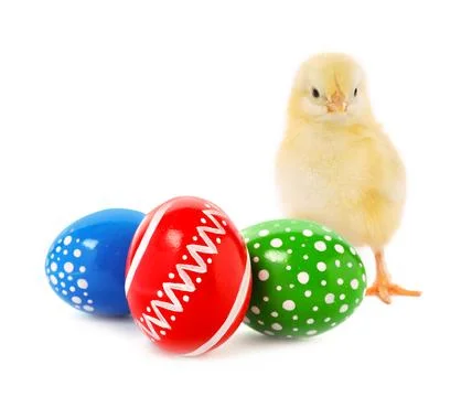 Happy Easter. Cute chick and painted eggs isolated on white Stock Photos