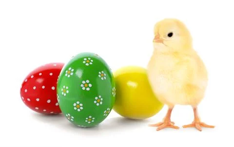 Happy Easter. Cute chick and painted eggs isolated on white Foto stock