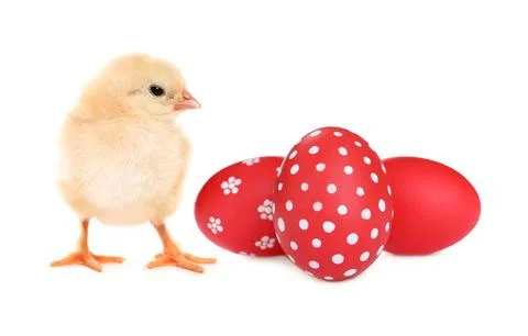 Happy Easter. Cute chick and painted eggs isolated on white Foto stock