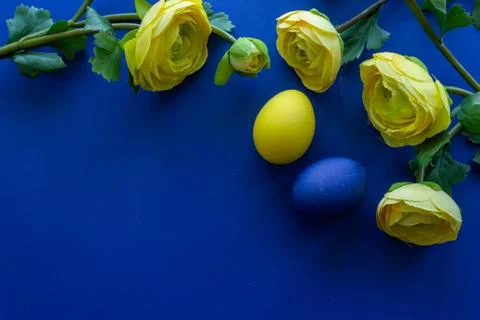 Happy Easter Day Around Yellow Flowers With Blue Egg On a Blue Background Stock Photos