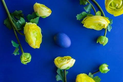 Happy Easter Day Around Yellow Flowers With Blue Egg On a Blue Background Stock Photos
