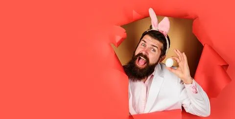 Happy Easter day. Bearded man in bunny ears with white egg looking through .. Stock Photos