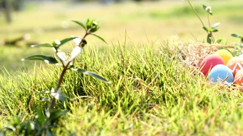 Happy Easter Day. Easter eggs on green grass background, Dolly shot. Stock Footage 148988942