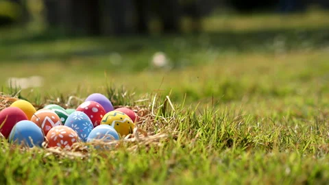 Happy Easter Day. Easter eggs on green grass background, Dolly shot. Stock Footage 148989713
