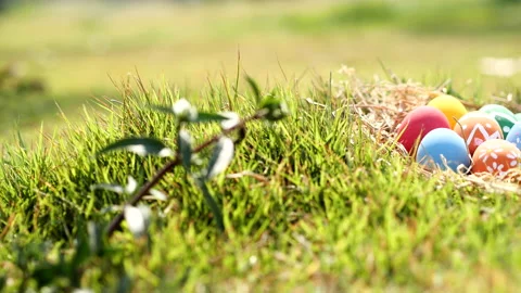 Happy Easter Day. Easter eggs on green grass background, Dolly shot. Stock Footage 148989721