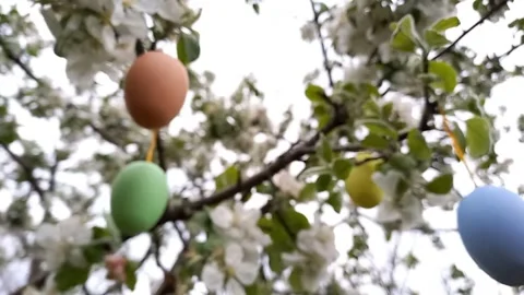 Happy easter. Defocused flowering tree decorated with decorative Easter eggs. Video stock 260574937