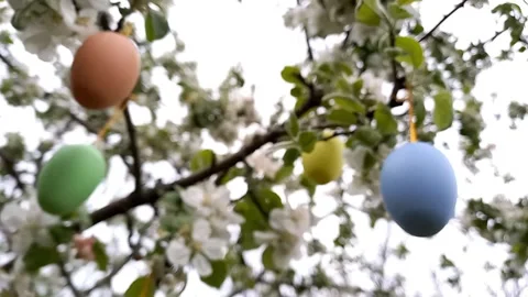 Happy easter. Defocused flowering tree decorated with decorative Easter eggs Stock Footage 260651765