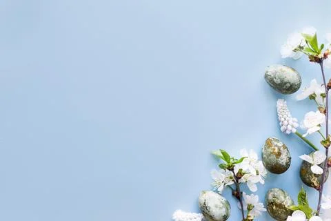 Happy Easter! Easter eggs with cherry blossom flat lay on blue background Stock Photos