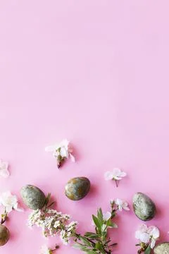 Happy Easter! Easter eggs with cherry blossom flat lay on pink background. Stock Photos