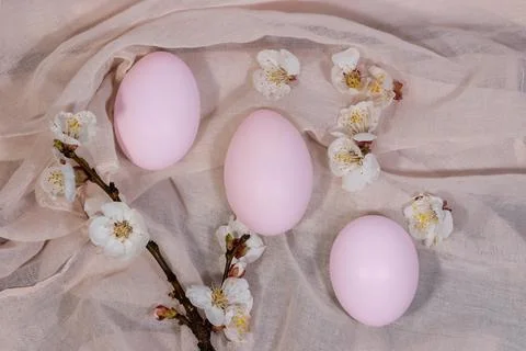 Happy Easter. Easter eggs on a delicate pink background with flowers.Minimali Stock-Fotos