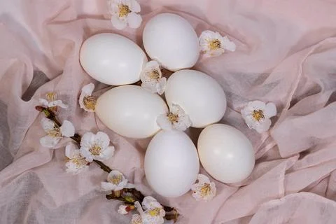 Happy Easter. Easter eggs on a delicate pink background with flowers.Minimali Stock Photos