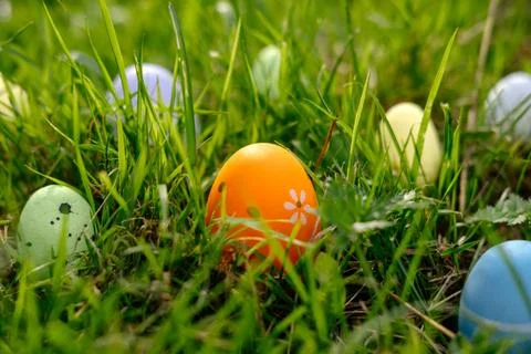 Happy Easter. Easter eggs on grass on a sunny spring day Stock Photos
