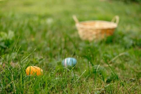Happy Easter. Easter eggs on grass on a sunny spring day Stock Photos