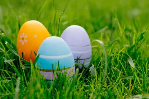 Happy Easter. Easter eggs on grass on a sunny spring day - Easter decoration, Stock Photos
