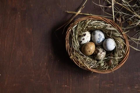 Happy Easter! Easter eggs in nest on wooden table Stock Photos
