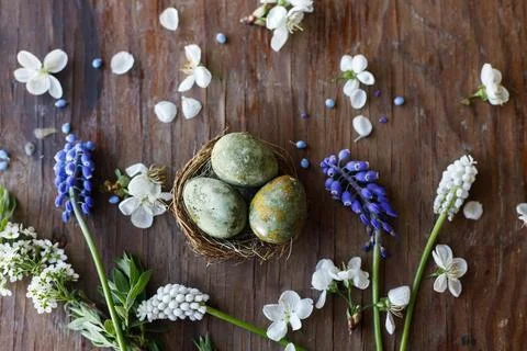 Happy Easter! Easter eggs in nest with spring flowers flat lay on rustic wo.. Stock Photos