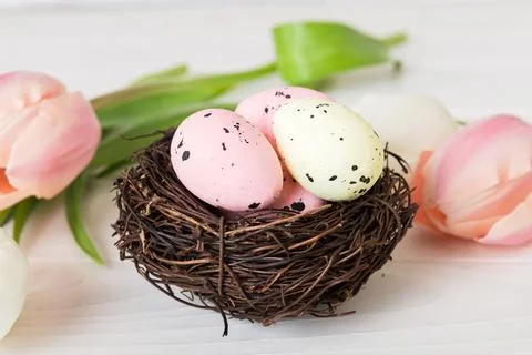 Happy Easter. Easter eggs in nest on colored table with tulip. Natural dyed.. Stock Photos