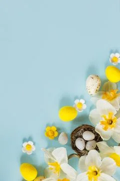 Happy Easter! Easter eggs in nest and daffodils flowers flat lay on blue ba.. Stock Photos