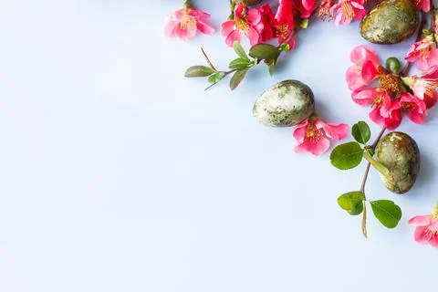Happy Easter! Easter eggs with red blossom flat lay on blue background. spr.. Stock Photos