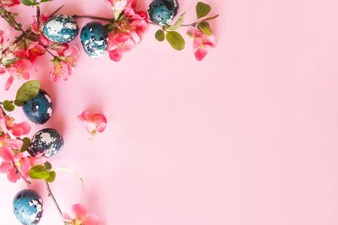 Happy Easter! Easter eggs with red blossom flat lay on pink background. Eas.. Stock Photos