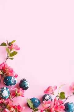 Happy Easter! Easter eggs with red blossom flat lay on pink background. spr.. Stock Photos