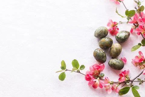 Happy Easter! Easter eggs with red blossom flat lay on rustic linen backgroun Stock Photos