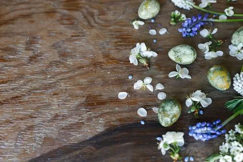 Happy Easter! Easter eggs with spring flowers flat lay on rustic wooden bac.. Stock Photos
