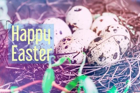 Happy Easter! Easter greeting card. quail eggs in the nest. Stock Photos