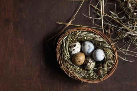 Happy Easter! Easter quail eggs in nest on wooden table Stock Photos