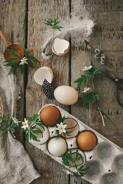 Happy Easter! Easter rustic still life. Natural easter eggs, spring flowers.. Stock Photos