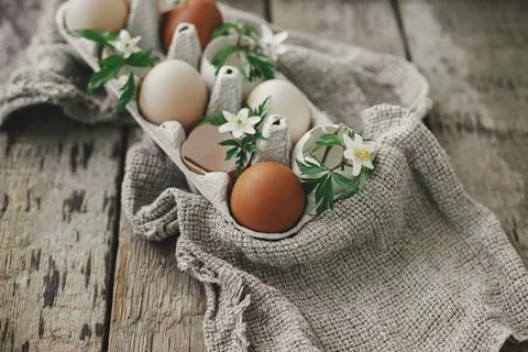 Happy Easter! Easter rustic still life. Easter eggs with spring flowers in .. Stock Photos