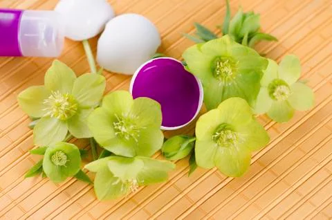 Happy Easter with egg shells and magenta paint on a yellow pad and hellebore Stock Photos