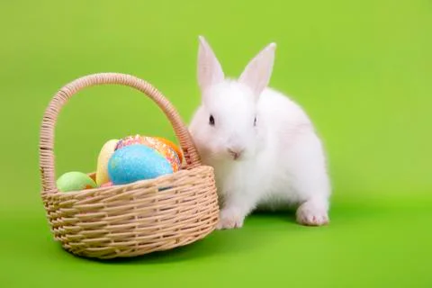 Happy easter eggs collection, Cute White rabbit bunny with basket eggs paint Stock Photos