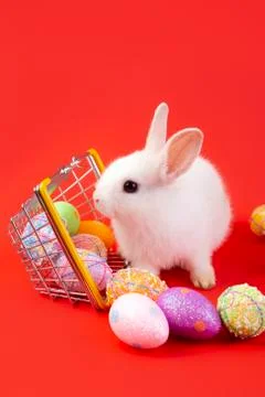 Happy easter eggs collection, Cute White rabbit bunny with basket eggs paint Stock-Fotos