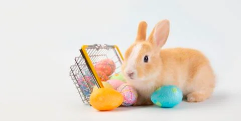 Happy easter eggs collection, Cute brown rabbit bunny with basket and eggs pa Stock-Fotos