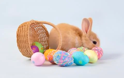 Happy easter eggs collection, Cute brown rabbit bunny with basket and eggs pa Stock Photos
