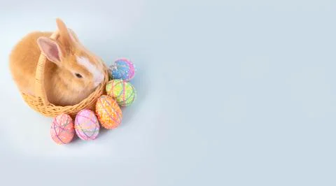 Happy easter eggs collection, Cute brown rabbit bunny with basket and eggs pa Stock Photos