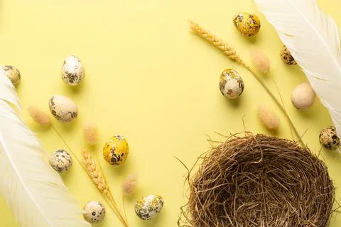 Happy Easter flat lay. Banner with colored quail eggs, bird's nest, feathers Stock Photos