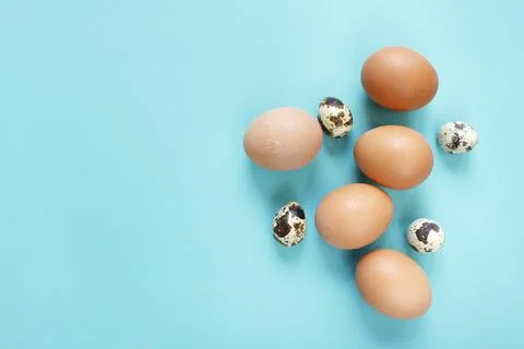 Happy Easter flat lay composition. Easter eggs decorated feathers on backgrou Stock Photos