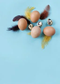Happy Easter flat lay composition. Easter eggs decorated feathers on backgrou Stock Photos