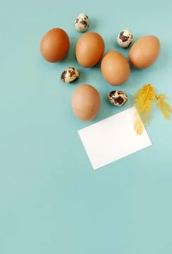 Happy Easter flat lay composition. Easter eggs decorated feathers on backgrou Stock Photos