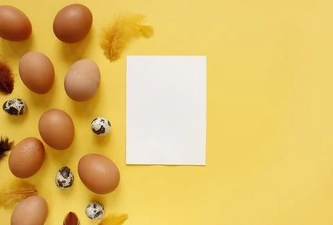 Happy Easter flat lay composition. Easter eggs decorated feathers on backgrou 库存照片