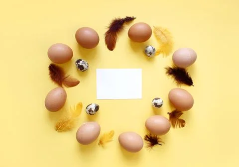 Happy Easter flat lay composition. Easter eggs decorated feathers on backgrou Stock Photos