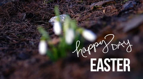Happy Easter. Stock Footage 48332011