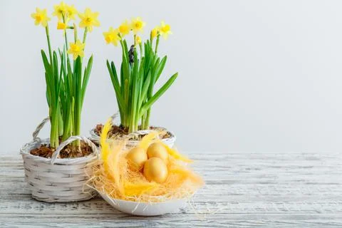 Happy easter Golden painted eggs lie in nest with golden feathers near pots o Stock Photos