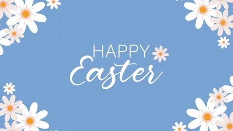 Happy easter greeting card animation with blossoming daisy flowers on light.. Stock Footage 338422763