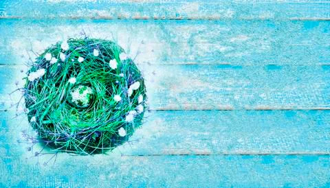 Happy Easter. Greeting card concept in trendy blue. Nest, blue flowers and an Stock Photos