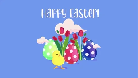 Happy Easter greeting video. Polka dot easter eggs, tulips and chicken on a blue Stock Footage 171386676